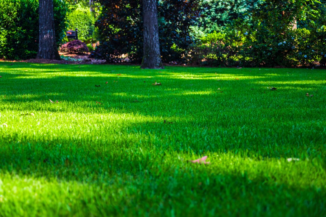 Weed Control Service in Warner Robins
