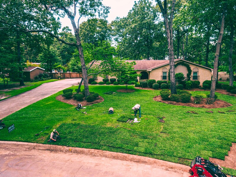 Laying sod in a front yard