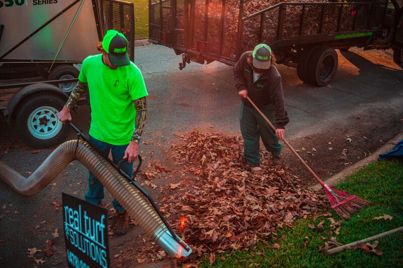 Leaf cleanup service in Warner Robins