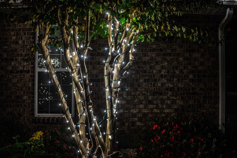 Holiday lighting tree wrap