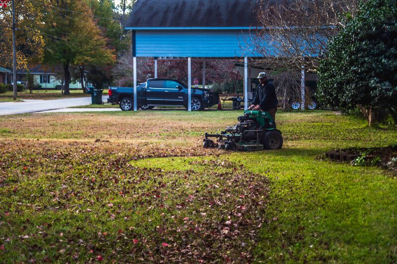 Leaf clean up and mowing